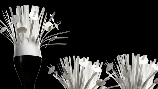 Video Reference: black, black and white, monochrome photography, flower, monochrome, still life photography, computer wallpaper, darkness, stock photography