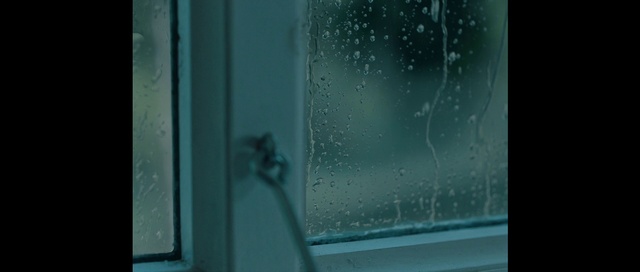 Video Reference: Blue, Green, Water, Glass, Turquoise, Snapshot, Aqua, Teal, Transparent material, Organism