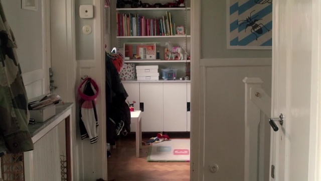 Video Reference: room, shelving, floor, home, furniture, closet, shelf, flooring, door, interior design