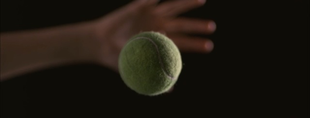 Video Reference: close up, macro photography, organism, computer wallpaper, still life photography