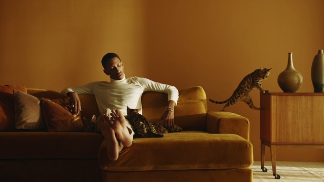 Video Reference: Couch, Furniture, Room, Living room, Comfort, Interior design, Photography, Sitting