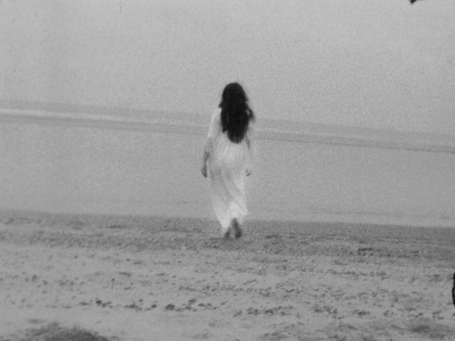 Video Reference: Black-and-white, Canidae, Photography, Sporting Group, Dog breed, Sand