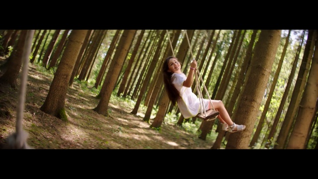 Video Reference: People in nature, Nature, Tree, Woodland, Natural environment, Forest, Beauty, Sunlight, Photography, Woody plant