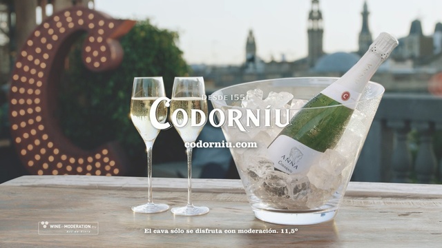 Video Reference: drink, alcoholic beverage, wine glass, stemware, glass, drinkware, tableware, champagne, wine, champagne stemware, Person