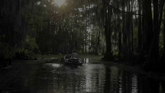 Video Reference: Nature, Natural environment, Bayou, Swamp, Natural landscape, Forest, Woodland, Bank, Waterway, Watercourse