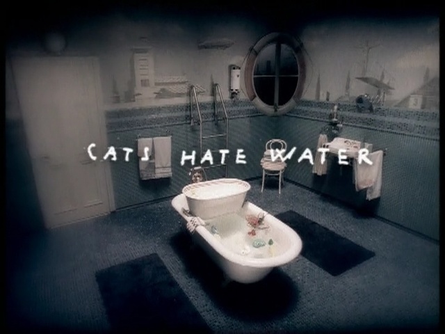 Video Reference: darkness, screenshot, font, still life photography, interior design, space, Person