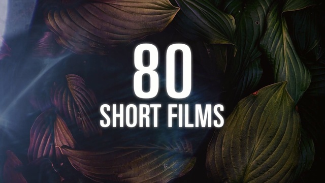 Video Reference: Text, Font, Graphics, Graphic design, Logo, Hair coloring, Person