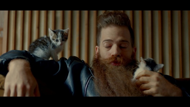 Video Reference: Facial hair, Cat, Facial expression, Beard, Whiskers, Felidae, Nose, Fur, Human, Small to medium-sized cats