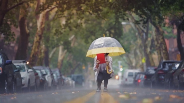 Video Reference: Umbrella, Rain, Mode of transport, Drizzle, Yellow, Pedestrian, Fashion accessory, Road, Precipitation, Photography