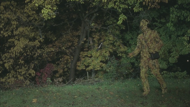 Video Reference: vegetation, tree, ecosystem, woodland, forest, nature reserve, old growth forest, grove, leaf, jungle