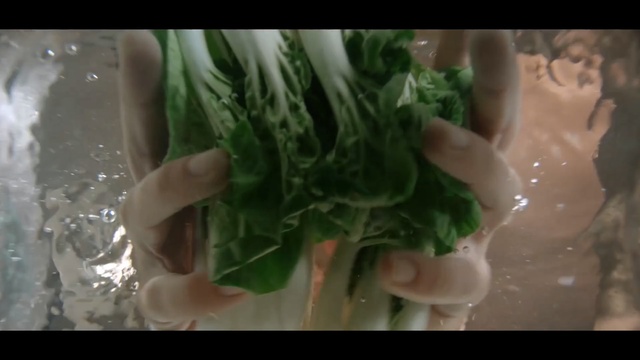 Video Reference: Food, Leaf vegetable, Vegetable, Cruciferous vegetables, Plant, Vegetarian food, Spinach, Produce, Recipe