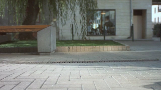 Video Reference: property, public space, walkway, road surface, floor, asphalt, sidewalk, flooring, tree, outdoor structure