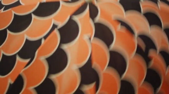 Video Reference: Orange, Pattern, Peach, Organism, Design, Close-up, Symmetry, Textile, Circle, Art, Person