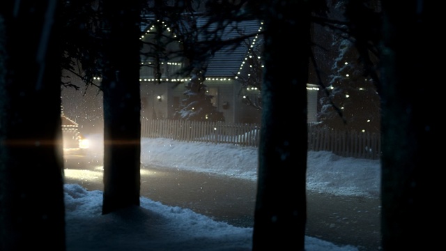 Video Reference: snow, winter, water, freezing, tree, reflection, night, darkness, light, atmosphere, Person