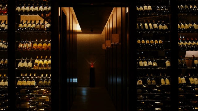 Video Reference: wine cellar, liquor store, alcoholic beverage, distilled beverage, drink, winery, wine, whisky, bar, alcohol