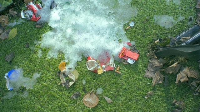 Video Reference: ecosystem, grass, litter, plant, biome, tree, lawn, water, Person