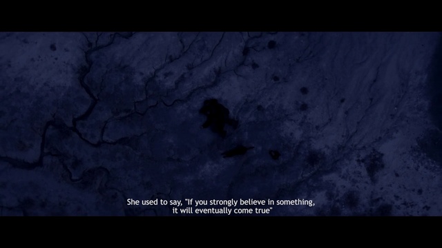 Video Reference: Sky, Black, Nature, Blue, Atmosphere, Darkness, Organism, Night, Astronomical object, Moonlight