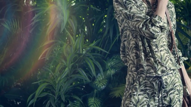 Video Reference: tree, jungle, plant, forest, grass, rainforest, sunlight, woodland, old growth forest, grass family