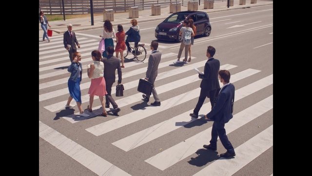 Video Reference: Pedestrian crossing, Zebra crossing, Pedestrian, Road, Street, Snapshot, Infrastructure, Standing, Line, Shadow, Person