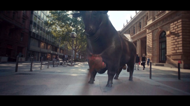 Video Reference: Mode of transport, Snout, Snapshot, Horse, Dinosaur, Stallion, Organism, Photography, Working animal