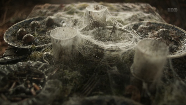 Video Reference: Organism, Monochrome photography, Stock photography, Still life photography, Black-and-white, Photography, Monochrome, Art