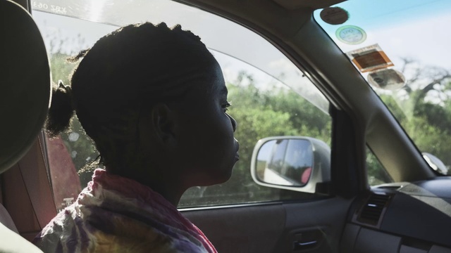 Video Reference: Vehicle door, Mode of transport, Windshield, Driving, Rear-view mirror, Tree, Automotive mirror, Automotive window part, Vehicle, Auto part