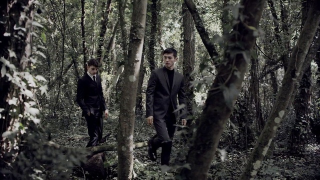 Video Reference: Tree, Forest, Woodland, Natural environment, Old-growth forest, Jungle, Northern hardwood forest, Wilderness, Woody plant, Valdivian temperate rain forest, Person