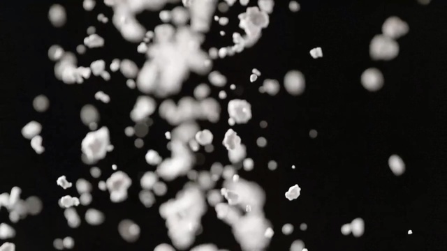 Video Reference: Monochrome photography, Black, Black-and-white, Monochrome, Water, Photography, Branch, Design, Organism, Pattern, Person