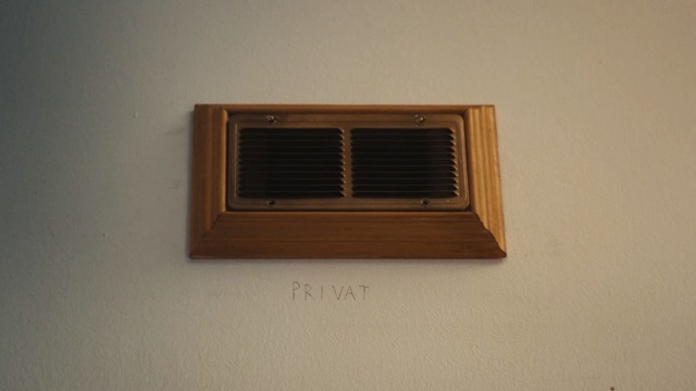 Video Reference: Wall, Window, Wood, Hardwood, Window covering, Rectangle, Person