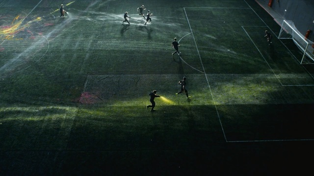 Video Reference: green, atmosphere, sport venue, player, structure, grass, line, area, sky, stadium