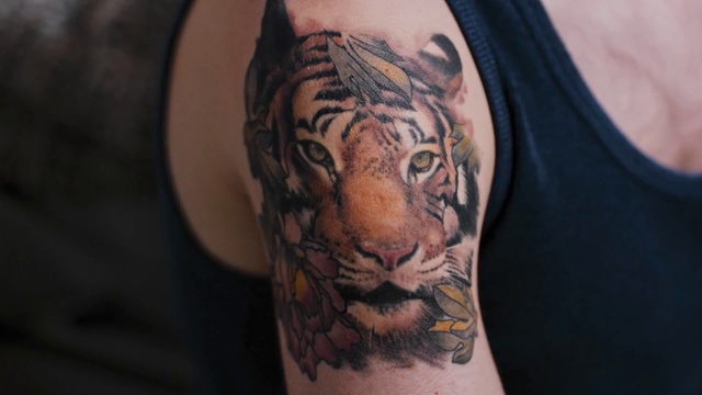 Video Reference: Tiger, Bengal tiger, Tattoo, Shoulder, Felidae, Arm, Joint, Wildlife, Big cats, Skin