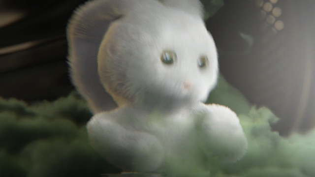 Video Reference: white, nose, close up, eye, organism, macro photography, snout, Person