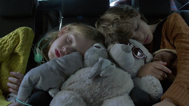 Video Reference: Child, Stuffed toy, Teddy bear, Interaction, Plush, Sleep, Nap, Toy