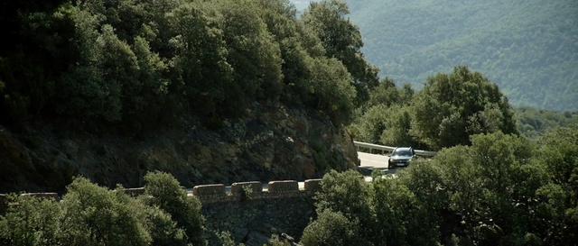 Video Reference: tree, vegetation, nature reserve, plant, sky, biome, rural area, village, landscape, forest