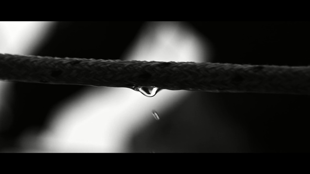 Video Reference: Black, White, Black-and-white, Water, Monochrome, Monochrome photography, Rope, Sky, Line, Photography