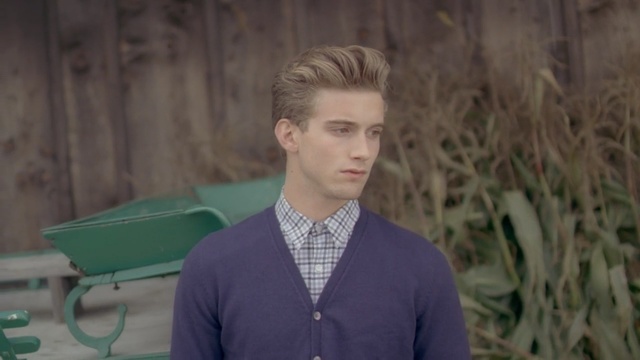 Video Reference: hairstyle, forehead, gentleman, human, Person