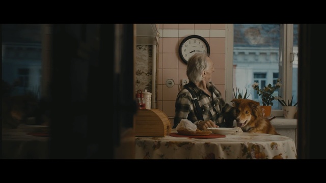 Video Reference: screenshot, scene, human behavior, darkness, window, display window, midnight, Person