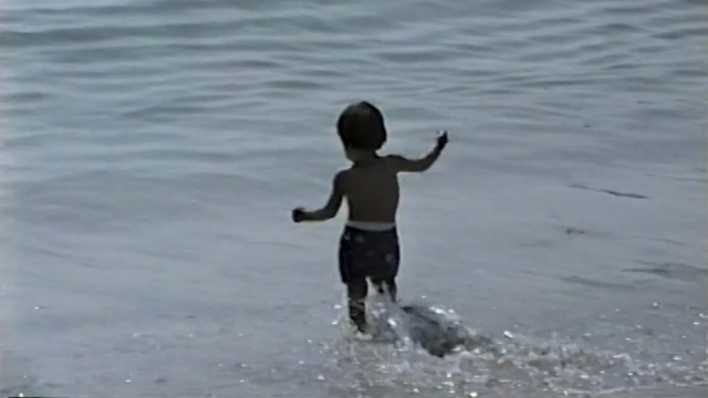 Video Reference: water, vertebrate, fun, sea, wave, vacation, recreation, wind wave, ocean, water bird, Person