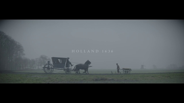 Video Reference: Atmospheric phenomenon, Mist, Mode of transport, Sky, Morning, Horse, Atmosphere, Fog, Rural area, Photography