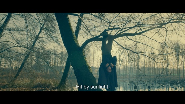 Video Reference: tree, nature, photograph, woody plant, branch, sky, photography, morning, woodland, atmosphere, Person