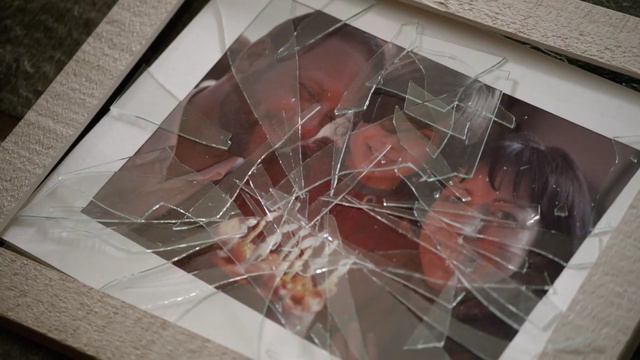 Video Reference: spider web, web, cobweb