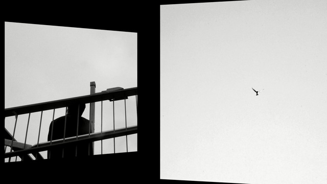 Video Reference: white, black, black and white, monochrome photography, sky, photography, monochrome, line, angle, brand