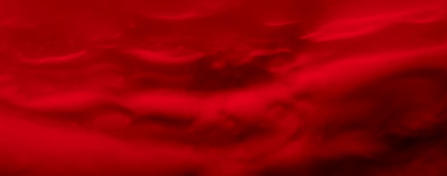 Video Reference: Red, Black, Pink, Maroon, Sky, Orange, Magenta, Red sky at morning, Atmosphere, Petal