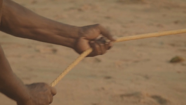 Video Reference: Hand