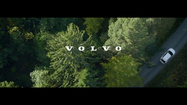 Video Reference: Nature, Vegetation, Green, Tree, Natural environment, Font, Biome, Leaf, Plant, Forest, Person