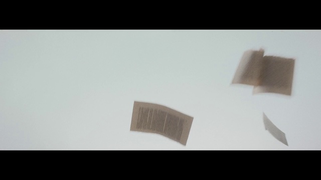 Video Reference: Text, Wall, Plywood, Wood, Rectangle, Font, Line, Paper, Beige, Material property