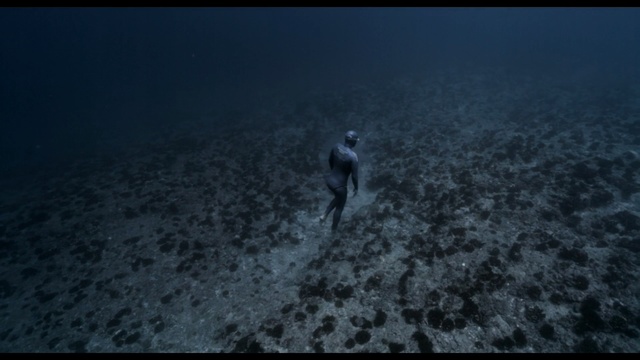 Video Reference: atmosphere, sky, darkness, screenshot, geological phenomenon, underwater, computer wallpaper, night, mist, tree