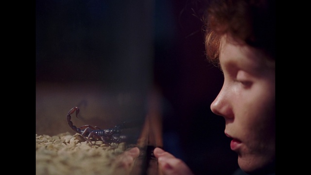 Video Reference: Face, Nose, Cheek, Head, Lip, Human, Eye, Portrait, Organism, Mouth