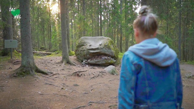 Video Reference: Nature reserve, Tree, State park, Forest, Woodland, Adaptation, Rock, Jungle, Plant, Soil