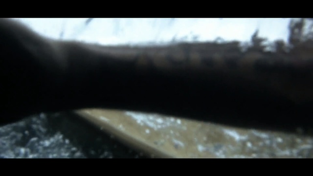 Video Reference: Water, Close-up, Tree, Photography, Organism, Hand, Finger